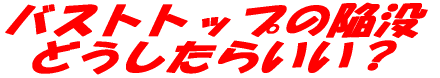 �������Ď����ł��� �o�X�g�ɂȂ肽���I 
